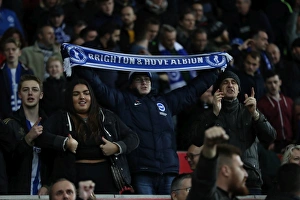 November Showdown: Swansea City vs. Brighton and Hove Albion in Premier League Action (4 Nov 2017)
