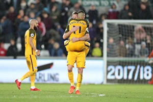 November Showdown: Swansea City vs. Brighton and Hove Albion - Premier League Rivalry (4NOV17)