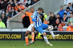 Images Dated 27th October 2012: Orlandi in Action: Blackpool vs. Brighton & Hove Albion, 12-10-2012