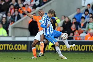 Blackpool 27-10-2012 Prints: Orlandi in Action: Blackpool vs. Brighton & Hove Albion, 12-10-2012