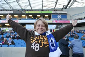 Fulham 29NOV14 Prints: Passionate Albion Fans at American Express Community Stadium: Brighton vs Fulham (29NOV14)