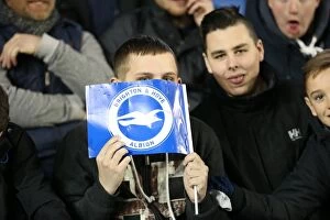 Images Dated 24th February 2015: Passionate Albion Fans: A Moment of Pride at the American Express Community Stadium vs Leeds
