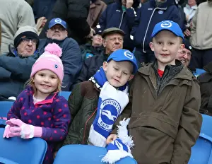 Passionate Brighton and Hove Albion Fans in Action during the Sky Bet Championship Match vs. Wolverhampton Wanderers (14MAR15)