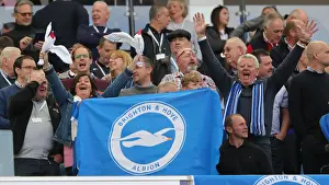 Prints of Albion fans. Match action during the Premier League match between Brighton and Hove Albion and Manchester City at the American Express Community Stadium, Falmer, Brighton on the 12th May 2019 2018-19 Matches Prints: Passionate Brighton and Hove Albion Fans at American Express Community Stadium vs Manchester City (May 12)