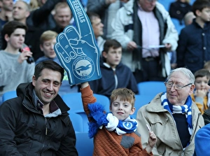 Passionate Clash: Brighton & Hove Albion vs. Fulham (29NOV14) - American Express Community Stadium