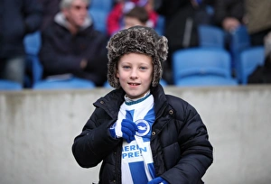 Passionate Clash: Brighton and Hove Albion vs. Brentford (17 January 2015)