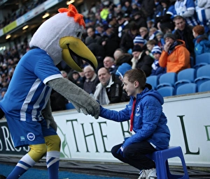 Passionate Clash: Brighton and Hove Albion vs. Brentford (17 January 2015)