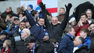 Passionate Clash: Brighton & Hove Albion vs. Brentford (17 January 2015) - Fans Showing Intense Emotion at the American Express Community Stadium