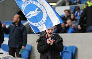 Passionate Clash: Brighton and Hove Albion vs. Birmingham City (21FEB15)