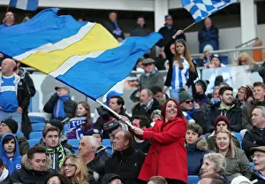 Passionate Clash: Brighton and Hove Albion vs Birmingham City (21FEB15)