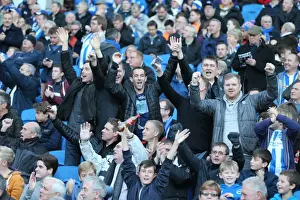 Passionate Clash: Brighton and Hove Albion vs Fulham (29NOV14) - American Express Community Stadium