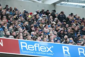 Passionate Fan Showdown: Brighton & Hove Albion vs. Brentford (17 January 2015)