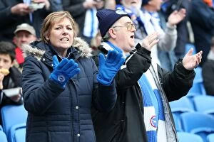 Images Dated 3rd April 2015: Passionate Fan Showdown: Brighton and Hove Albion vs. Norwich City at American Express Community