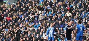 Wolverhampton Wanderers 14MAR15 Prints: Passionate Moment: Brighton and Hove Albion Fans at the American Express Community Stadium vs