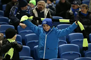 Passionate Moment: Brighton and Hove Albion Fans Unwavering Support vs Ipswich Town (January 2015)
