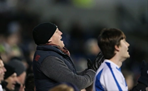 Passionate Showdown: Brighton and Hove Albion vs Derby County at American Express Community Stadium (March 3, 2015)