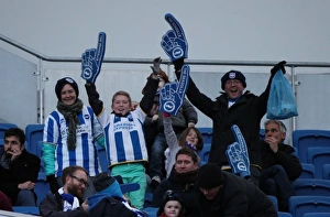 Passionate Showdown: Brighton and Hove Albion vs. Brentford (17Jan15)