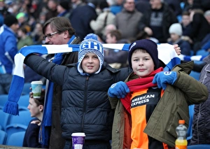 Passionate Showdown: Brighton & Hove Albion vs. Brentford (17Jan15)