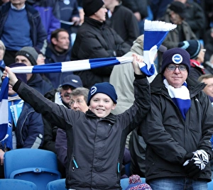Passionate Showdown: Brighton & Hove Albion vs. Brentford (17Jan15)