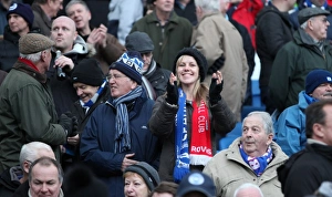 Passionate Showdown: Brighton & Hove Albion vs. Brentford (17Jan15)