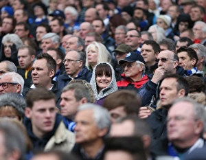 Passionate Showdown: Brighton and Hove Albion vs. Norwich City at American Express Community Stadium (April 3, 2015)