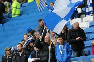 Images Dated 3rd April 2015: Passionate Showdown: Brighton and Hove Albion vs Norwich City at American Express Community