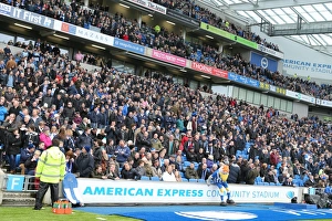 Passionate Showdown: Brighton and Hove Albion vs. Norwich City at American Express Community Stadium (3rd April 2015)