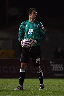 Images Dated 11th December 2009: Peter Brezovan