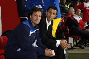 Images Dated 15th November 2009: Poyet Taricco Southampton 8678