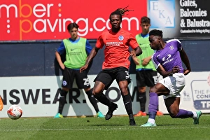 Pre-season Championship Showdown: Luton Town vs. Brighton & Hove Albion (23rd July 2016)