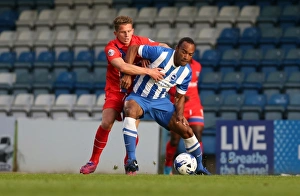 Pre-Season Clash: Gillingham vs. Brighton and Hove Albion at Priestfield Stadium (29/07/2015)