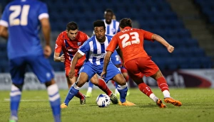 Pre-Season Clash: Gillingham vs. Brighton and Hove Albion at Priestfield Stadium (29/07/2015)