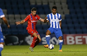 Pre-Season Clash: Gillingham vs. Brighton & Hove Albion at Priestfield Stadium (29/07/2015)