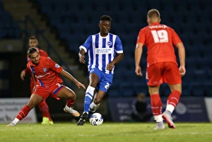 Pre-Season Clash: Gillingham vs. Brighton and Hove Albion at Priestfield Stadium (29/07/2015)