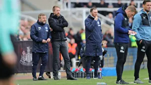 Premier League Battle: Newcastle United vs. Brighton and Hove Albion (5th March 2022)