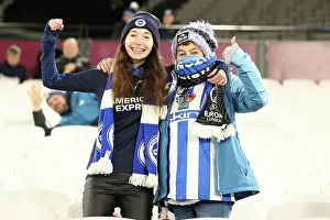 Premier League Battle: West Ham United vs. Brighton and Hove Albion (2nd January 2024)