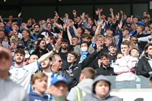 Premier League Battle: Wolverhampton Wanderers vs. Brighton and Hove Albion at Molineux Stadium (30APR22)