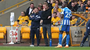 Premier League Battle: Wolverhampton Wanderers vs. Brighton and Hove Albion at Molineux Stadium (30APR22)