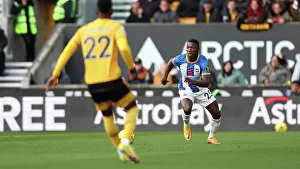 Premier League Battle: Wolverhampton Wanderers vs. Brighton and Hove Albion - November 5, 2023 (Molineux Stadium)