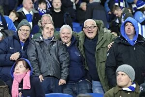 Images Dated 28th November 2017: Premier League Clash: Brighton & Hove Albion vs. Crystal Palace (November 2017)