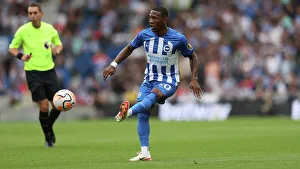Premier League Clash: Brighton & Hove Albion vs. Luton Town (August 12, 2023)