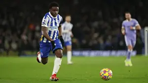 Premier League Clash: Brighton & Hove Albion vs Leeds United (November 2021)