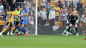Images Dated 19th August 2023: Premier League Clash: Wolverhampton Wanderers vs. Brighton and Hove Albion (19AUG23)