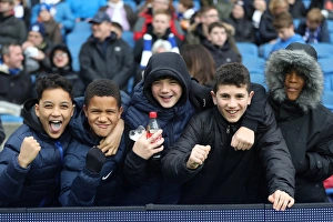 Premier League Showdown: Brighton & Hove Albion vs Bournemouth (01JAN18) - American Express Community Stadium
