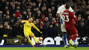 Premier League Showdown: Brighton & Hove Albion vs Liverpool at American Express Community Stadium (January 9, 2019)