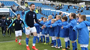 Bournemouth 13APR19 Prints: Premier League Showdown: Brighton & Hove Albion vs Bournemouth (13APR19) - American Express Community Stadium