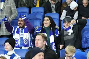 Images Dated 28th November 2017: Premier League Showdown: Brighton & Hove Albion vs. Crystal Palace (November 2017)