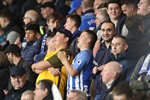 Images Dated 15th September 2017: Premier League Showdown: Brighton and Hove Albion vs. AFC Bournemouth at Vitality Stadium (15SEP17)