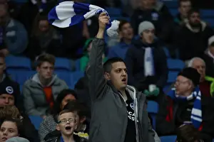 Premier League Showdown: Brighton & Hove Albion vs. Watford at American Express Community Stadium (23DEC17)