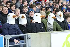Premier League Showdown: Brighton & Hove Albion vs. Watford at American Express Community Stadium (23DEC17)